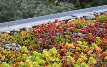 the cost of Kings Walden green roof installation