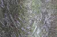 Kings Walden fibreglass roof work